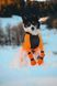 Високі черевики для собак Contact bootie high Non-stop dogwear Помаранчевий XS 4 Шт. 40346 фото 6