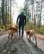 Регулируемый поводок для собак Rock adjustable leash Non-stop dogwear Черный 2,3 м 41420 фото 5