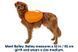 Шлейка-рюкзак для собак Ruffwear Approach&trade; XS Помаранчевий 30973 фото 2