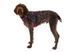 Полегшена шлейка для собак Ruffwear Hi & Light&trade; XXS 33-43 см Малиновий 30807 фото 5