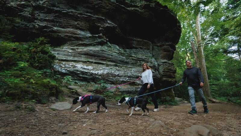 Полегшена шлейка для собак Ruffwear Hi & Light&trade; XXS 33-43 см Малиновий 30807 фото