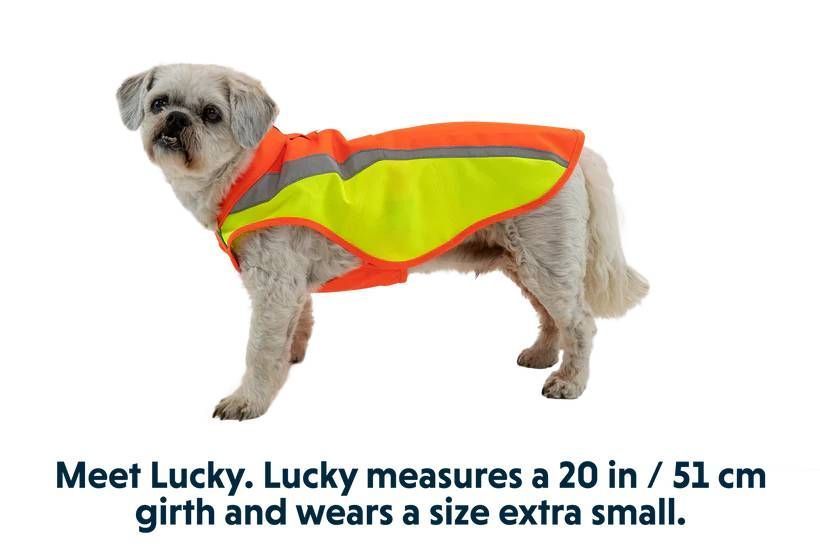 Куртка для собак світловідбиваюча Ruffwear Lumenglow&trade; L Помаранчевий 30423 фото