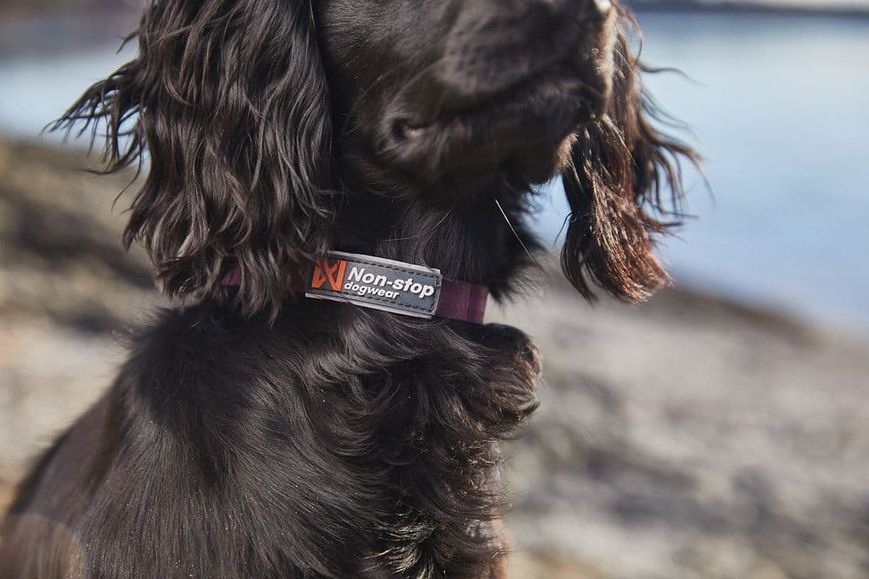 Нашийник для собак Tumble Non-stop dogwear Фіолетовий 2XS 40446 фото
