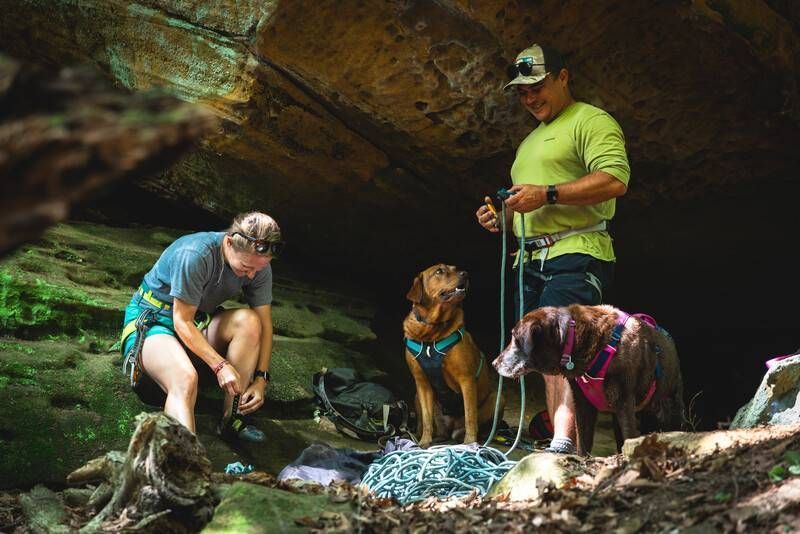 Легка шлейка для собак Ruffwear Flagline&trade; S 56-69 см Сірий 30748 фото