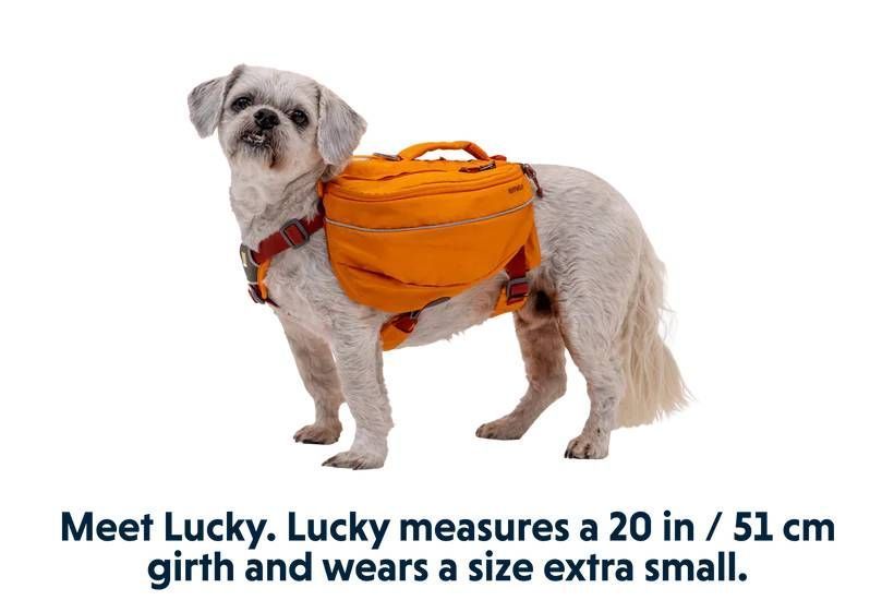 Шлейка-рюкзак для собаки Ruffwear Approach&trade; S Оранжевый 30974 фото