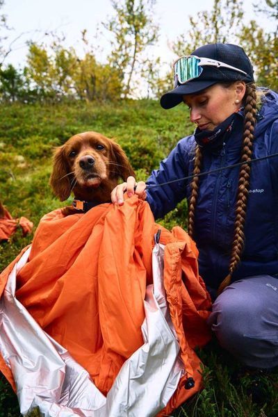 Спальный мешок для собак Bivvy bag Non-stop dogwear Оранжевый S 40552 фото