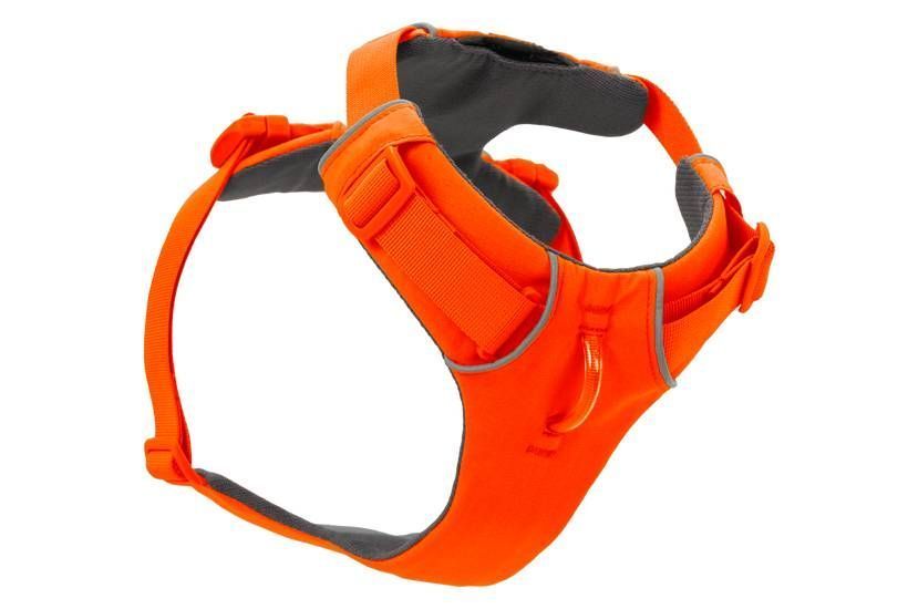 Повсякденна шлейка для собак Ruffwear Front Range&reg; XS 43-56 см Помаранчевий 41868 фото