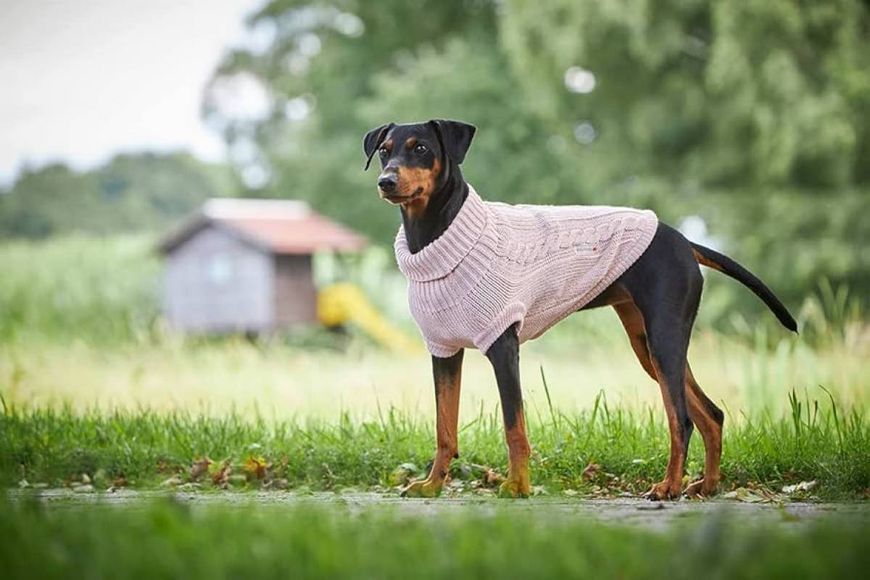 В'язаний светр для собаки Wolters Cable Knit з візерунком коси 40 см Рожевий 28422 фото