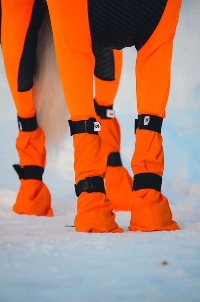 Високі черевики для собак Contact bootie high Non-stop dogwear Помаранчевий м 4 Шт. 40348 фото