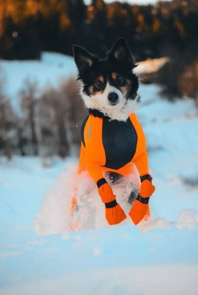 Високі черевики для собак Contact bootie high Non-stop dogwear Помаранчевий м 4 Шт. 40348 фото
