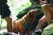 Легкая шлейка для собак Ruffwear Flagline&trade; M 69-81 см Серый 30749 фото 12