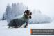 Шерстяная куртка для собак Glacier wool jacket 2.0 Non-stop dogwear Зеленый/Серый 65 41025 фото 3