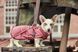 Флисовая куртка для собак Hurtta Razzle-Dazzle Midlayer 60 Розовый 31469 фото 5