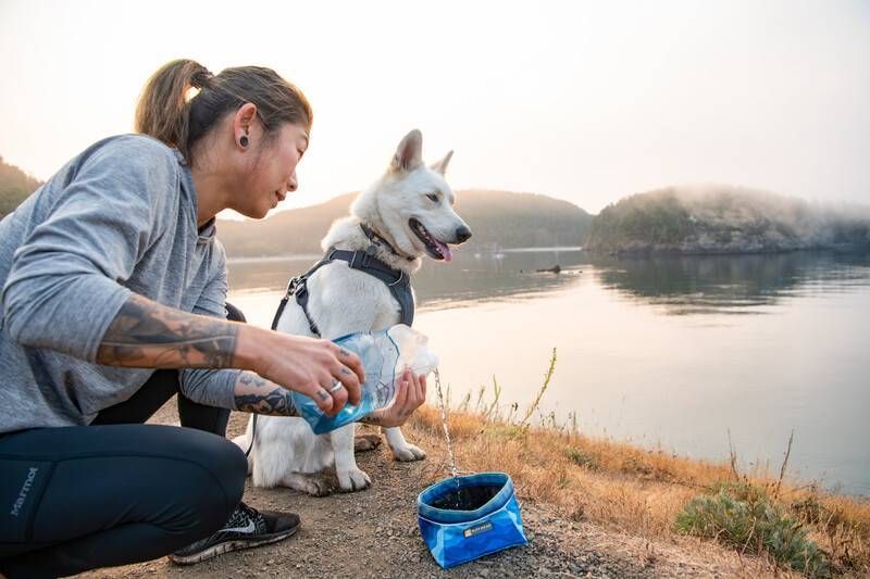 Складная миска для собак Ruffwear Quencher&trade; M Сине-голубой 30625 фото