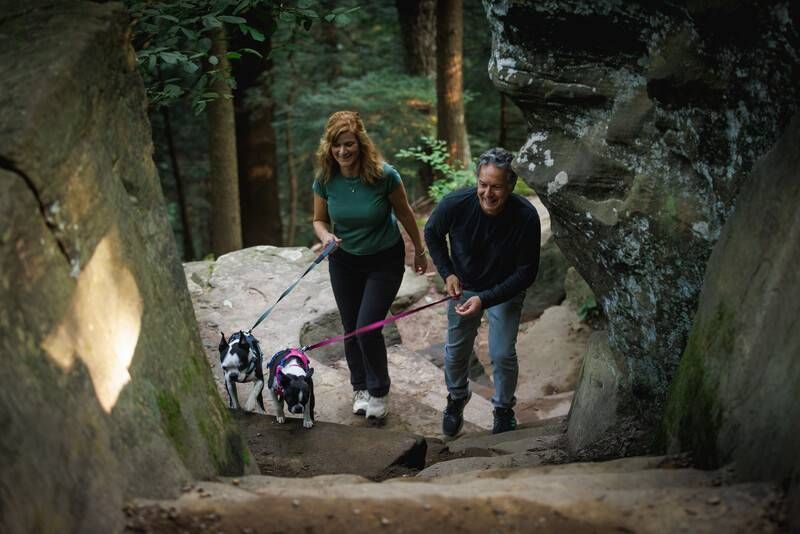 Полегшена шлейка для собак Ruffwear Hi & Light&trade; S 56-69 см Малиновий 30809 фото