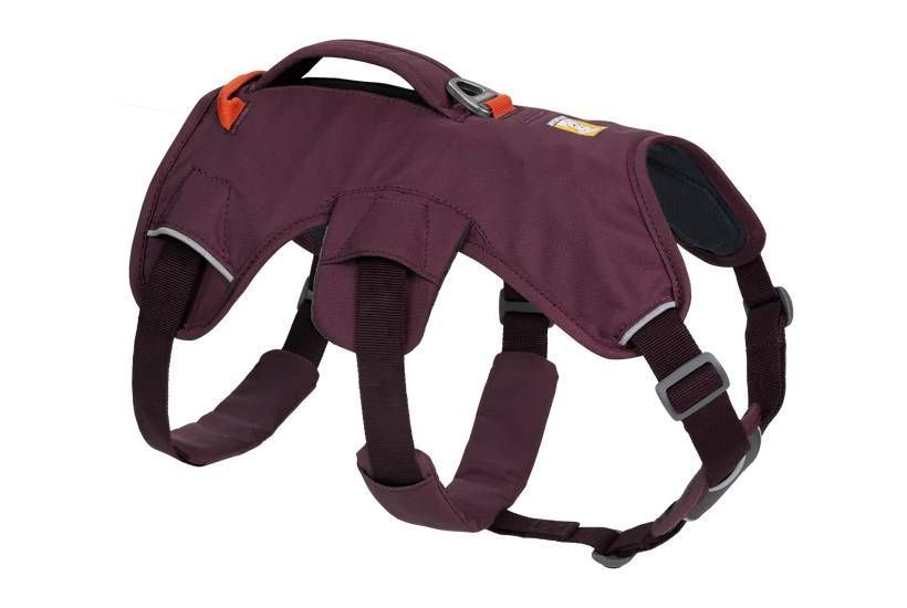 Поддерживающая шлейка для служебных собак Ruffwear Web Master&trade; L/XL 81-107 см Фиолетовый 30871 фото