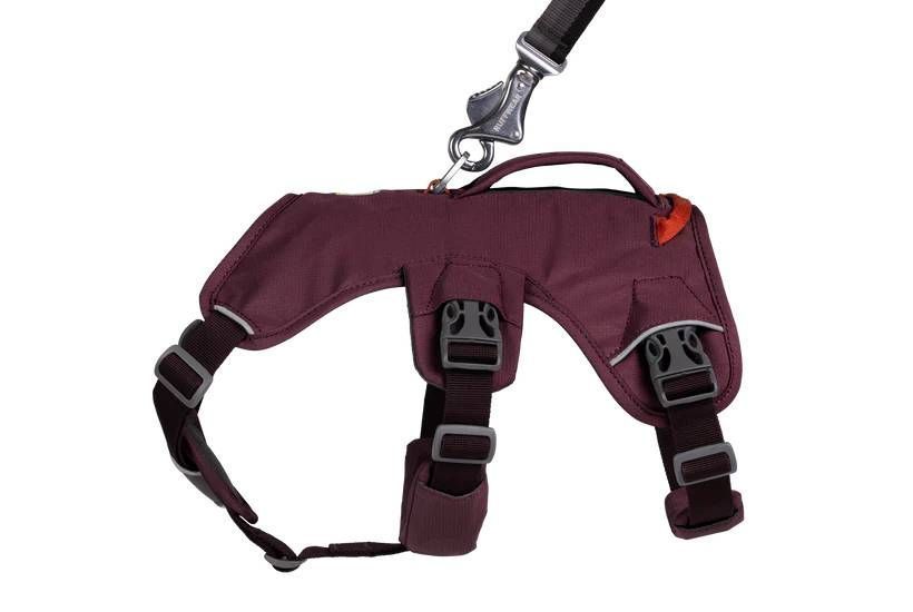 Поддерживающая шлейка для служебных собак Ruffwear Web Master&trade; L/XL 81-107 см Фиолетовый 30871 фото