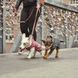 Флисовая куртка для собак Hurtta Razzle-Dazzle Midlayer 65 Розовый 31470 фото 3