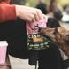 Печиво для собак Beco Pets Кеш'ю з гарбузовим насінням і морквою 70 г (рослинний білок) 31366 фото 2