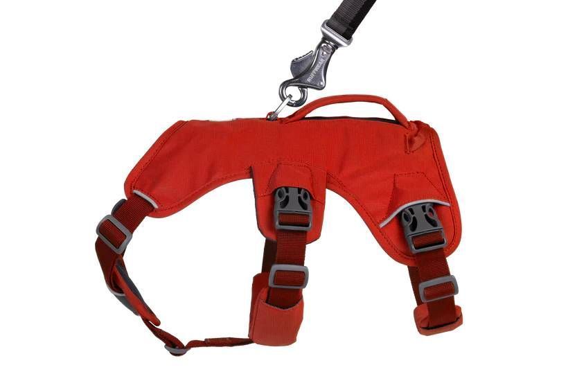 Поддерживающая шлейка для служебных собак Ruffwear Web Master&trade; XXS 33-43 см Красный 30872 фото