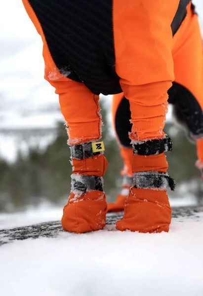 Высокие ботинки для собак Contact bootie high Non-stop dogwear Оранжевый XL 4 Шт. 40350 фото
