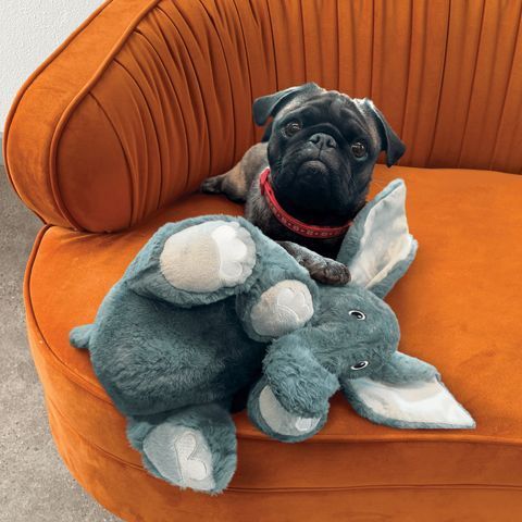 Игрушка для собак Kong Comfort Kiddos Elephant XS 41598 фото