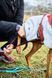 Флисовая куртка для собак Trekking fleece jacket Non-stop dogwear Серый/Винный/Бирюзовый 40 40816 фото 8