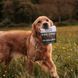 Печенье для собак Beco Pets Шоколад с керобом, ромашкой и киноа 70 г (растительный белок) 31367 фото 3