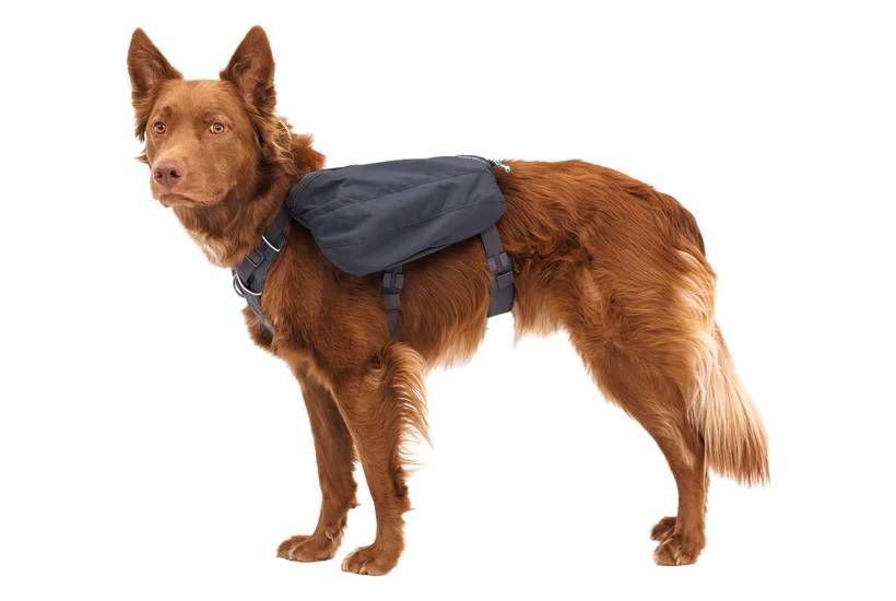 Шлейка-рюкзак для собак Ruffwear Front Range&trade; XS Сірий 30977 фото