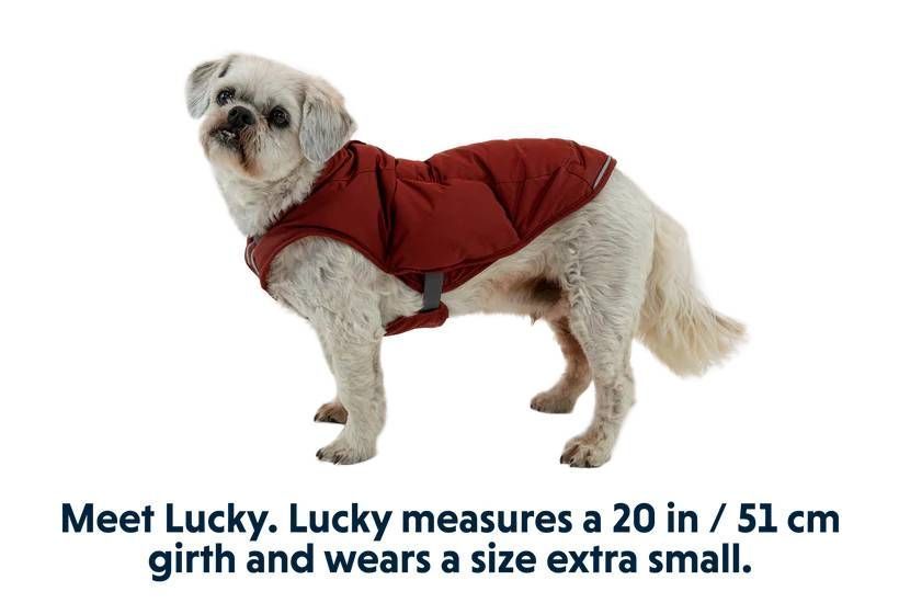 Тепла куртка для собак Ruffwear Quinzee&trade; L Червоний 30477 фото