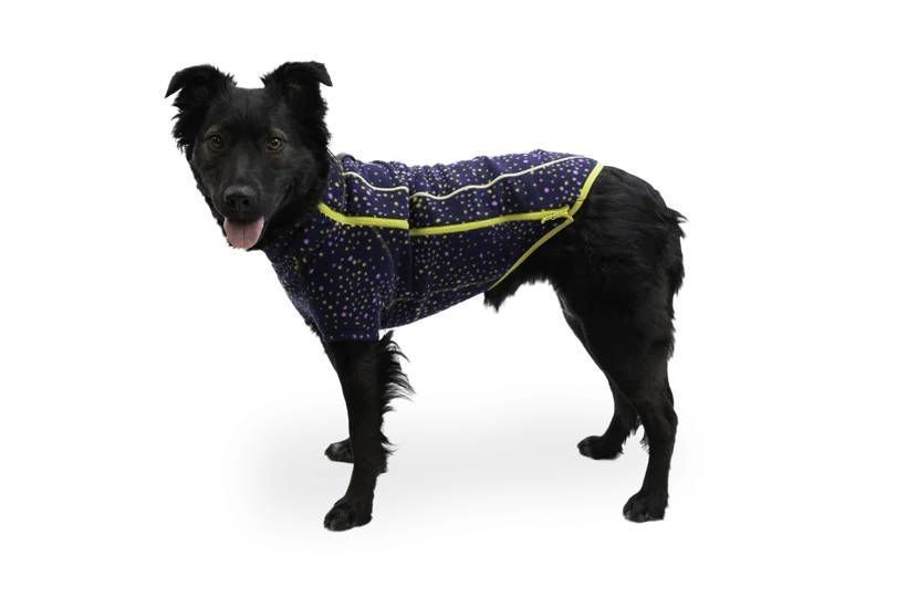 Флісова куртка для собак Ruffwear Climate Changer&trade; XXS Синьо-фіолетовий 30371 фото