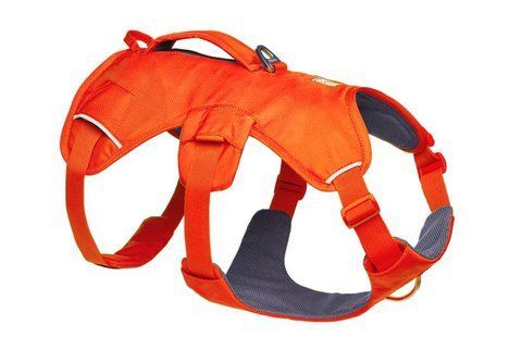 Поддерживающая шлейка для служебных собак Ruffwear Web Master&trade; S 56-69 см Ярко-Оранжевый 41889 фото