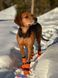 Високі черевики для собак Contact bootie high Non-stop dogwear Помаранчевий 2XL 4 Шт. 40351 фото 2