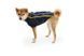 Флісова куртка для собак Ruffwear Climate Changer&trade; XS Синьо-фіолетовий 30372 фото 7