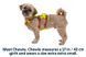 Легка шлейка для собак Ruffwear Flagline&trade; XS 43-56 см Жовтий 30757 фото 5