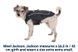 Куртка для собак Ruffwear Overcoat Fuse&trade; M Сірий 30428 фото 5