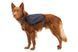 Шлейка-рюкзак для собак Ruffwear Front Range&trade; S Сірий 30978 фото 6