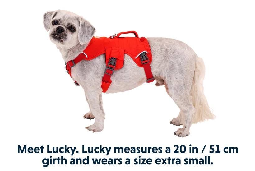 Поддерживающая шлейка для служебных собак Ruffwear Web Master&trade; S 56-69 см Красный 30874 фото