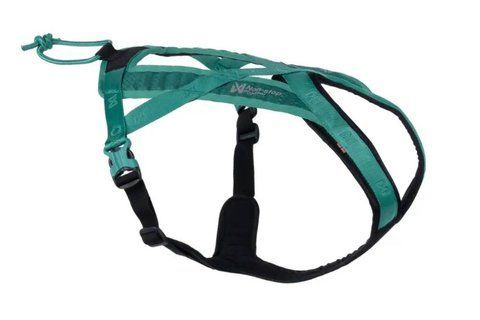 Шлея для собак Rush harness Non-stop dogwear Бирюзовый 4 40752 фото
