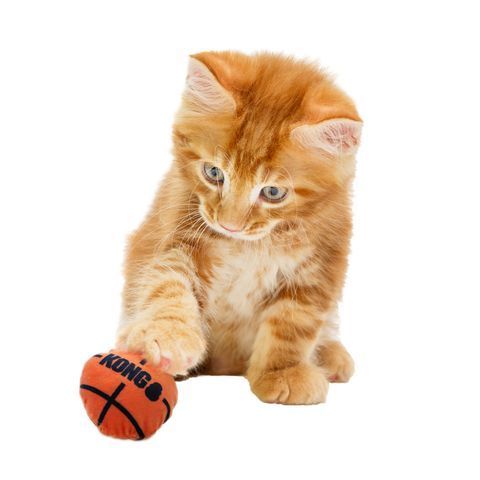 Игрушка для котов Kong Мячики Sport 2 шт. 41650 фото