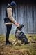 Ошейник для собак Solid adjustable collar WD Non-stop dogwear Оливковый 40452 фото 2