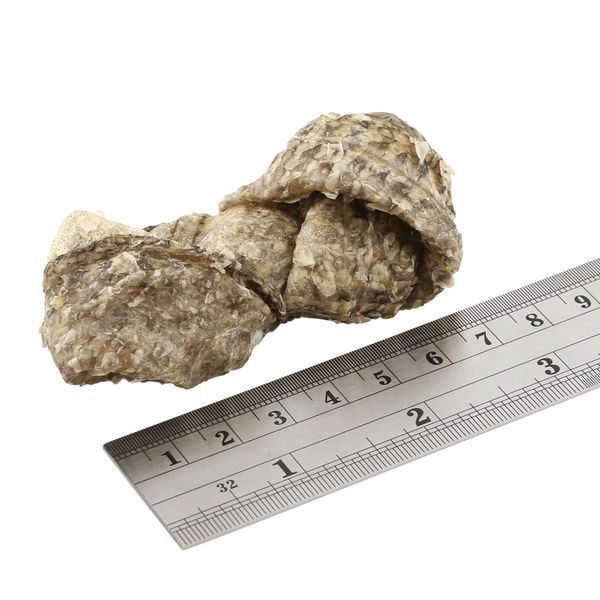 Натуральні ласощі для собак з 100% Шкіри Білої Риби Fish4Dogs Sea Jerky Рибні вузли, 1 шт 43891 фото