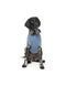 Кофта для собак FuzzYard Treats Блакитний 3 33402 фото 4