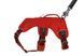 Підтримуюча шлейка для службових собак Ruffwear Web Master&trade; M 69-81 см Червоний 30875 фото 4