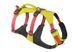 Легка шлейка для собак Ruffwear Flagline&trade; S 56-69 см Жовтий 30758 фото 1