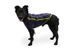 Флісова куртка для собак Ruffwear Climate Changer&trade; S Синьо-фіолетовий 30373 фото 5
