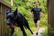 Поводок для собак Bungee leash Non-stop dogwear Черный/Оранжевый 2,8 м/23 мм 41426 фото 5