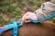 Поводок для собак Trekking rope leash Non-stop dogwear Бирюзовый 2 м/6 мм 41376 фото 3