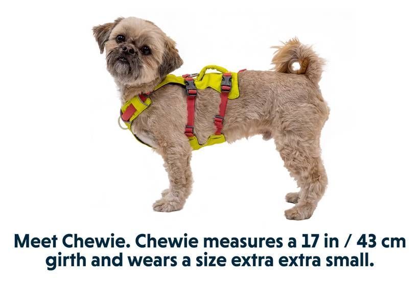 Легка шлейка для собак Ruffwear Flagline&trade; S 56-69 см Жовтий 30758 фото