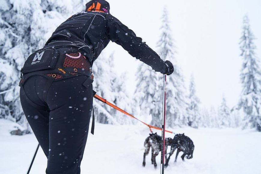 Пояс для привязи собак L&oslash;ype belt Non-stop dogwear Черный/Оранжевый M 40302 фото